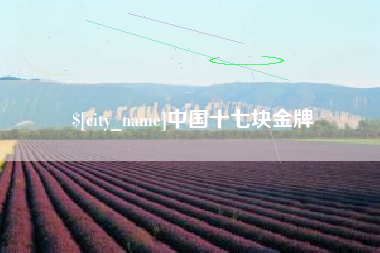 仁怀中国十七块金牌