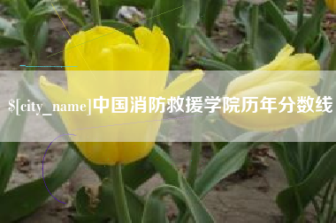 仁怀中国消防救援学院历年分数线