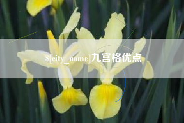 仁怀九宫格优点