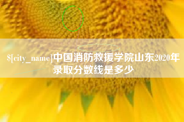 仁怀中国消防救援学院山东2020年录取分数线是多少