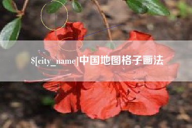 仁怀中国地图格子画法