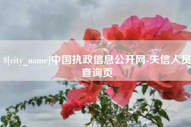 仁怀中国执政信息公开网-失信人员查询页