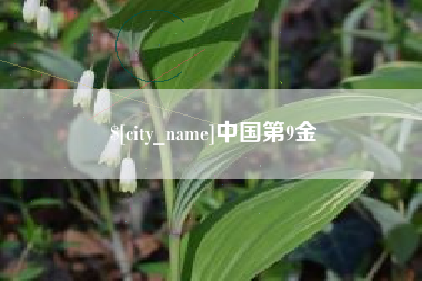 仁怀中国第9金