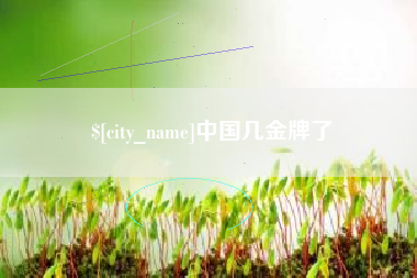 仁怀中国几金牌了