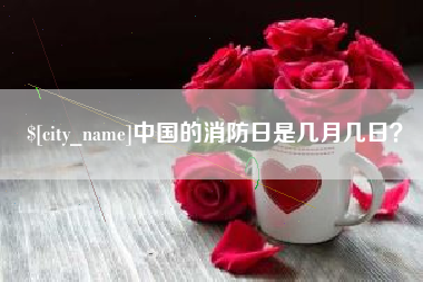 仁怀中国的消防日是几月几日？