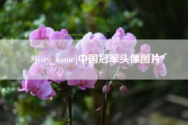 仁怀中国冠军头像图片