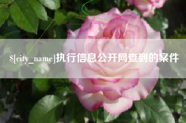 仁怀执行信息公开网查到的案件