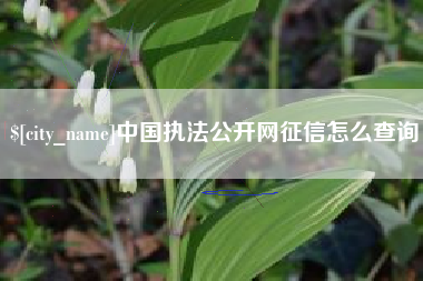 仁怀中国执法公开网征信怎么查询