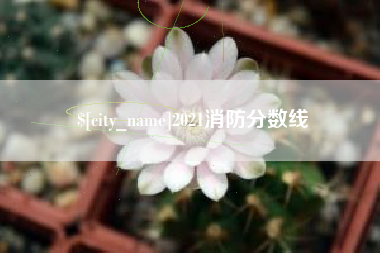 仁怀2021消防分数线