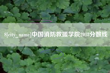 仁怀中国消防救援学院2018分数线