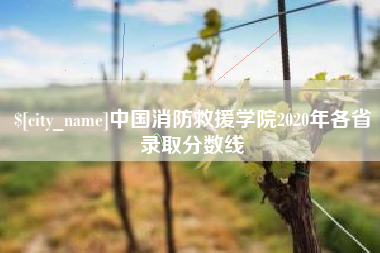 仁怀中国消防救援学院2020年各省录取分数线