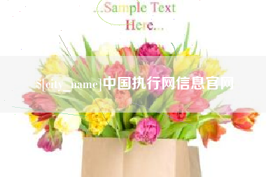 仁怀中国执行网信息官网