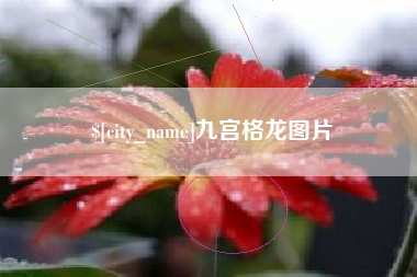 仁怀九宫格龙图片