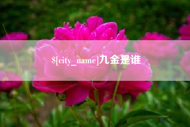 仁怀九金是谁