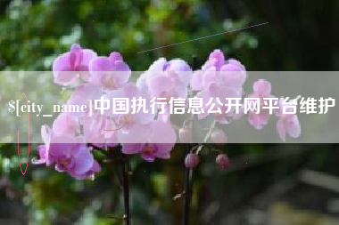 仁怀中国执行信息公开网平台维护