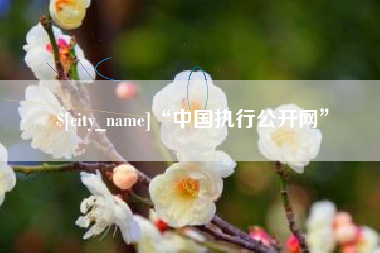 仁怀“中国执行公开网”