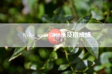 仁怀5000米及格成绩