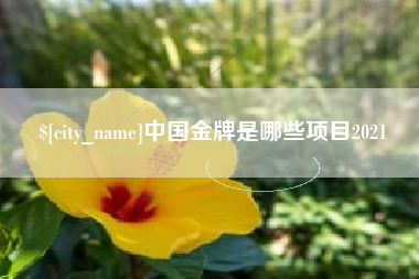 仁怀中国金牌是哪些项目2021