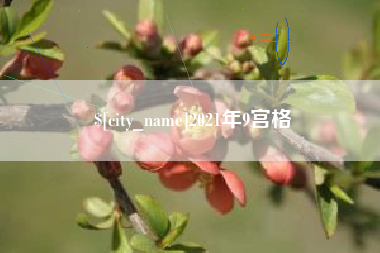 仁怀2021年9宫格