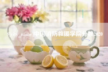 仁怀中国消防救援学院分数2020