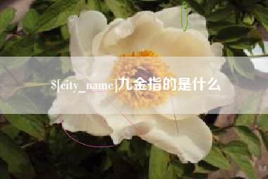 仁怀九金指的是什么