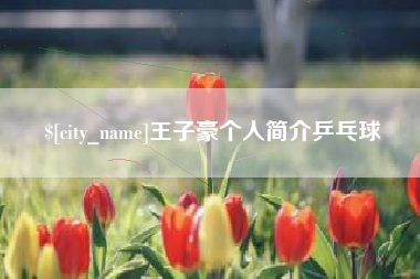 仁怀王子豪个人简介乒乓球
