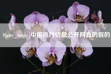 仁怀中国执行信息公开网真的假的