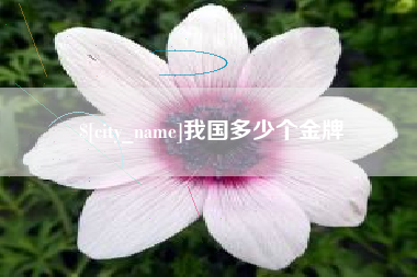 仁怀我国多少个金牌