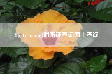 仁怀消防证查询网上查询