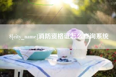 仁怀消防资格证怎么查询系统