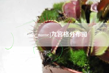 仁怀九宫格分布图