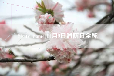 仁怀11月9日消防日全称