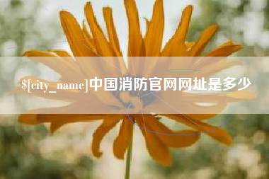 仁怀中国消防官网网址是多少