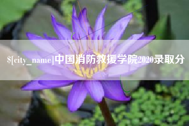 仁怀中国消防救援学院2020录取分