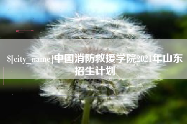 仁怀中国消防救援学院2021年山东招生计划