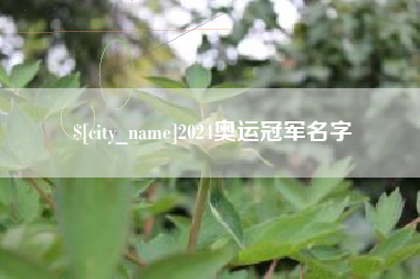 仁怀2024奥运冠军名字