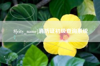 仁怀消防证初级查询系统