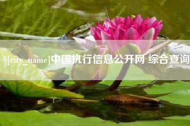 仁怀中国执行信息公开网 综合查询