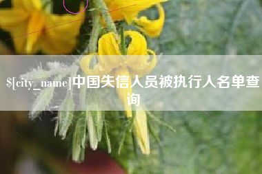 仁怀中国失信人员被执行人名单查询