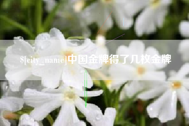 仁怀中国金牌得了几枚金牌