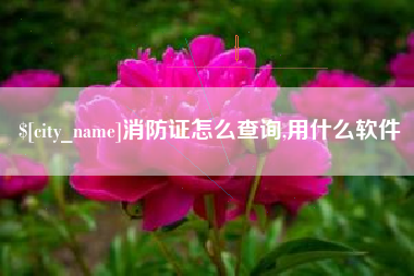 仁怀消防证怎么查询,用什么软件