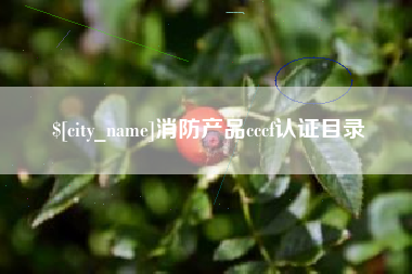 仁怀消防产品cccf认证目录