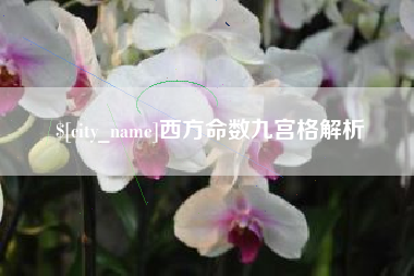仁怀西方命数九宫格解析