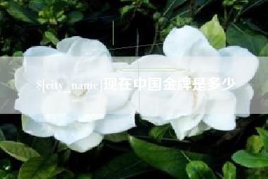 仁怀现在中国金牌是多少