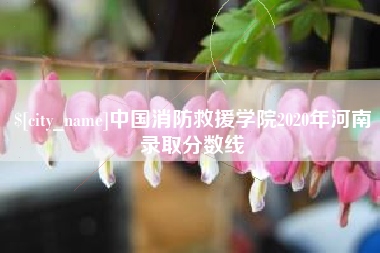 仁怀中国消防救援学院2020年河南录取分数线