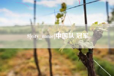 仁怀中国队 冠军