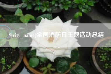 仁怀全国消防日主题活动总结
