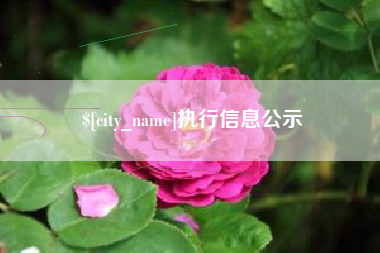 仁怀执行信息公示