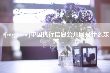 仁怀中国执行信息公开网是什么东西