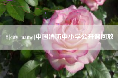 仁怀中国消防中小学公开课回放